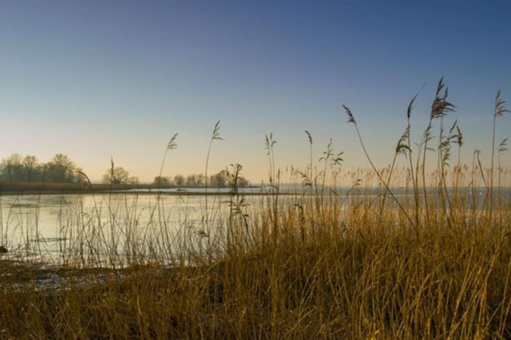 Bodensee Apartments, Sauna, Lake Walks, Free Parking, Self Checkin, Nature Reserve, Restaurants Nearby Gaissau  外观 照片