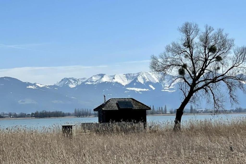 Bodensee Apartments, Sauna, Lake Walks, Free Parking, Self Checkin, Nature Reserve, Restaurants Nearby Gaissau  外观 照片