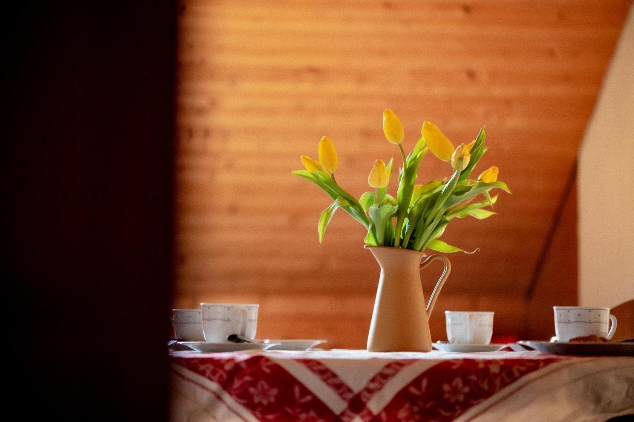 Bodensee Apartments, Sauna, Lake Walks, Free Parking, Self Checkin, Nature Reserve, Restaurants Nearby Gaissau  外观 照片
