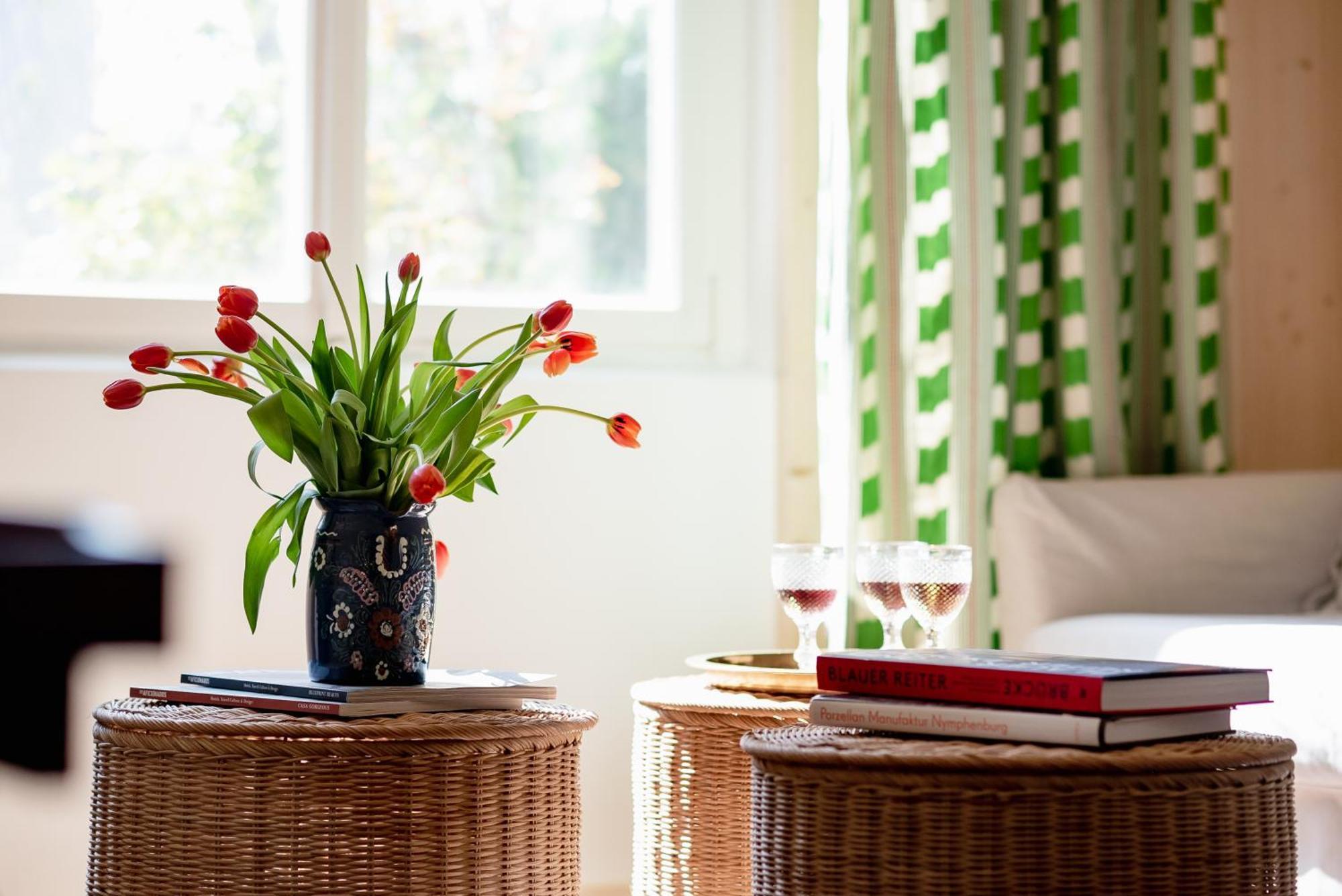 Bodensee Apartments, Sauna, Lake Walks, Free Parking, Self Checkin, Nature Reserve, Restaurants Nearby Gaissau  外观 照片